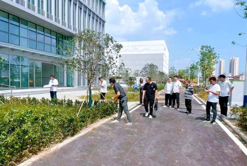 蔡甸推動高質(zhì)量發(fā)展 為市民辦實事