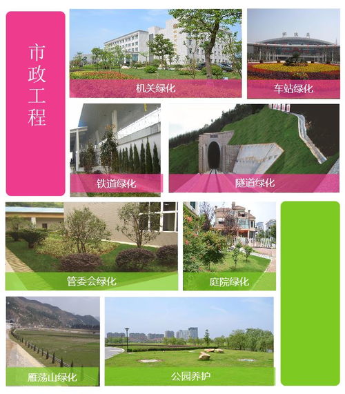 綠化苗木 百通生態(tài)環(huán)境 購買綠化苗木